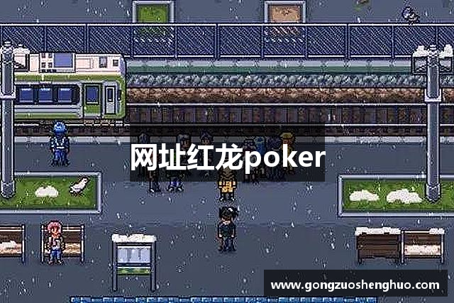 网址红龙poker